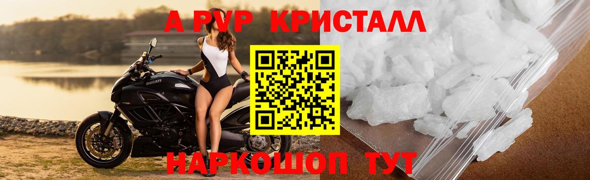 Альфа ПВП крисы CK  Alfa_PVP СК КРИС  Вход с VPN  Сегежа 