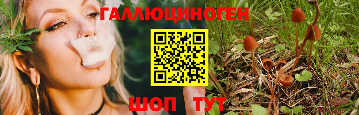Псилоцибиновые грибы Magic Shrooms  Вход с VPN  Сегежа 